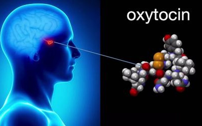 Oxytocin là gì?